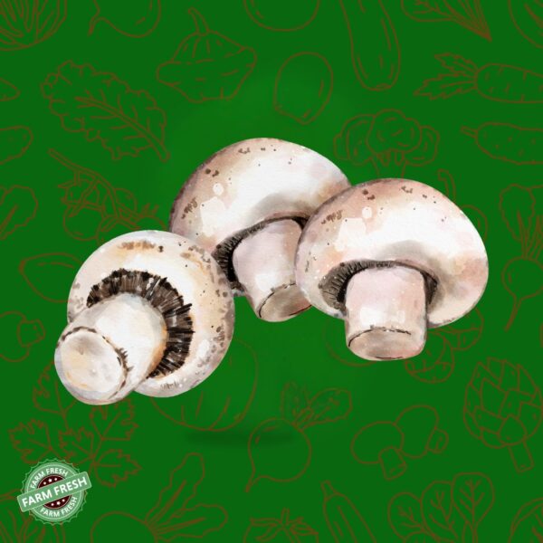 Ooty Mushrooms | ஊட்டி காளான்