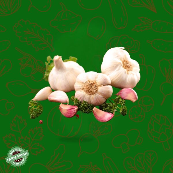 Garlic | பூண்டு