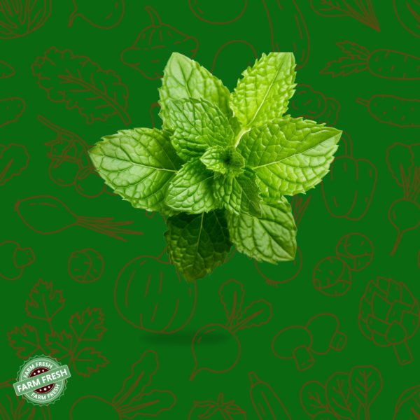 Mint | புதினா