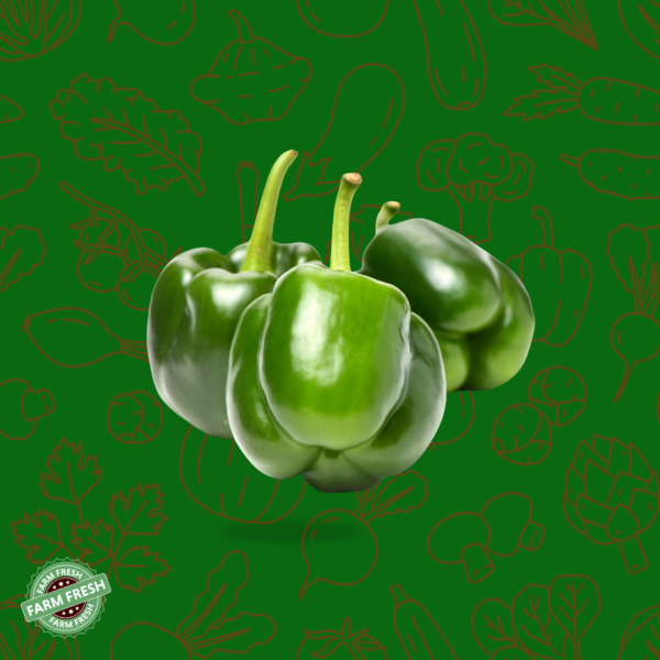 Capsicum | குடை மிளகாய்