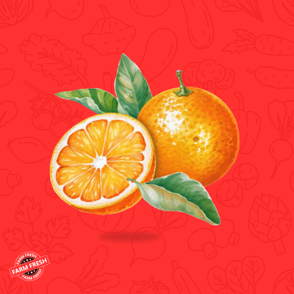 Malto Orange | மால்டோ ஆரஞ்சு