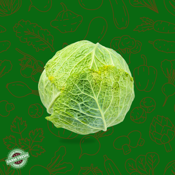 Cabbage | முட்டைக்கோஸ்